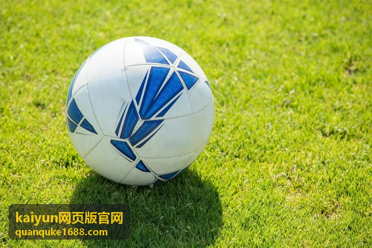 kaiyun网页版官网热门种草片段-实用技巧